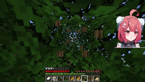 2025/5/8 悪りん誕生記念日ｗ