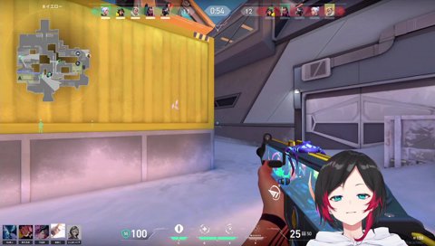 不良品のアラボ