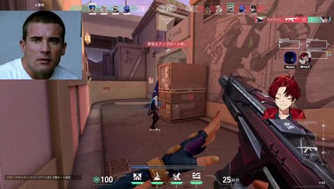 無能で情けない