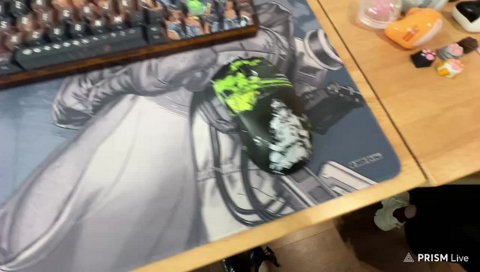 インコに食われた肉球キャップ