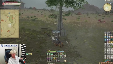 こんなところに金カエル FF14今日も燈貨集める