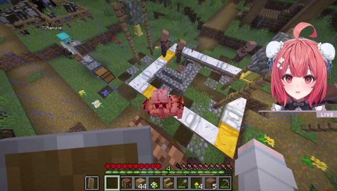 ソーラン節でコールするあかりん