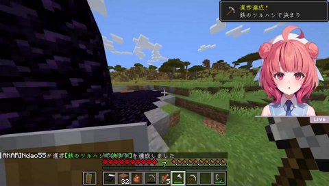 やらせネザーゲート