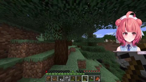 ベリーに負けるあかりん