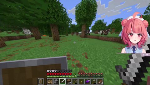 これまぐまだまりね