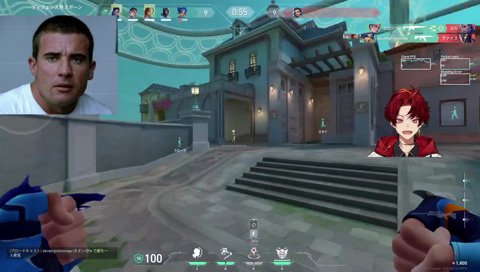 「和ませデコイです」