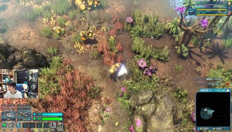 リセマラはしない