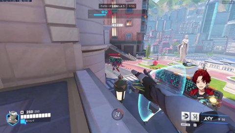 ツルギのビラ配り