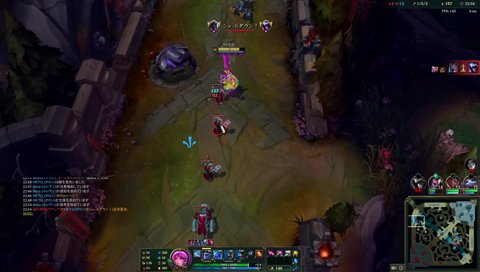 クマにも勝てるグウェンちゃん