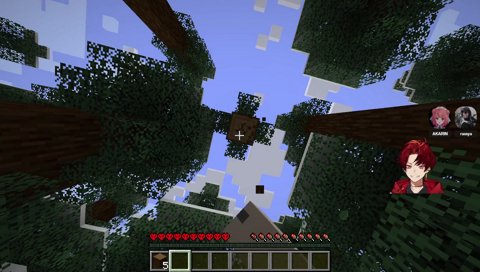 ツルギの未来の奥さんを見据えた配信