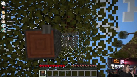 ボド「見てないで助けろ！」