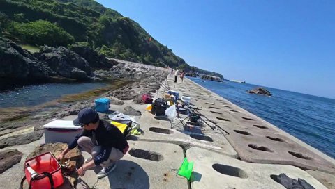 タケノコメバルを観察する釈迦