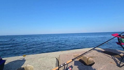 ベイトフィッシュが逃げてるように見える。。