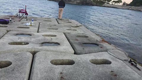 釣れた瞬間元気に煽りだすなるお