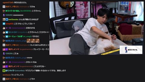 ヘソ天するこた