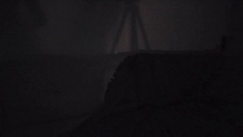 くまさん無事起床