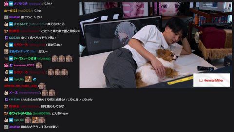 ひなーのをズームするカメラ