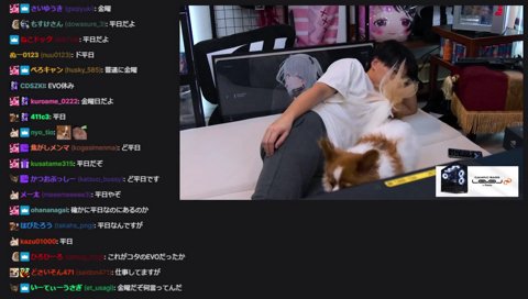 けんきに顔を噛まれて反撃するこた