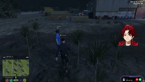 りんからのビデ通