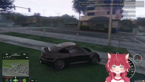 誰かをひき逃げするかるび