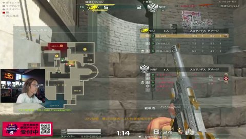 AVA INDIA クイック釈迦