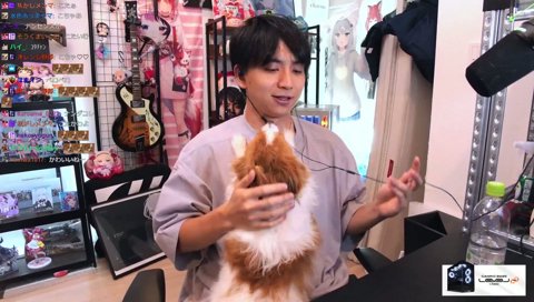 再教育センターに送られそうになるこたろ