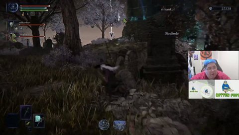 戻る時右手にある木の足場