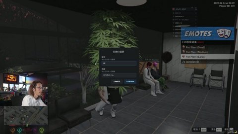 完璧な擬態をする2人組