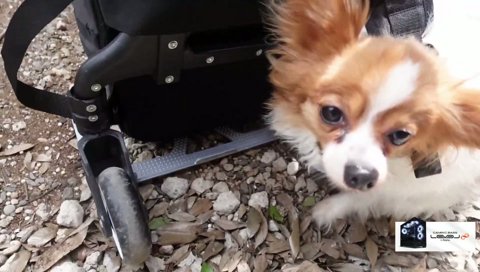 とめると更衣室に行くこたろ