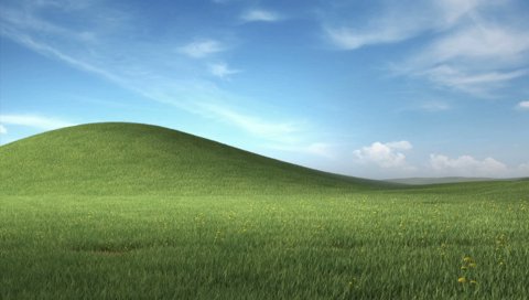 ニキータからの大切なお知らせ