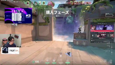 野良に持ち上げられてベイトにされる