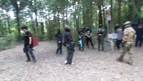 カブトムシに興奮するとめるとけんき