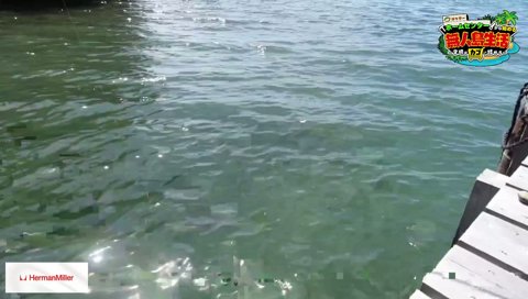 ファン太が獲った貝を落とすけんき