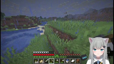 猫たちのじゃれ合いを見に行くなちょ