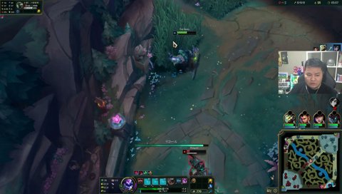 マンムーからレイドされたマザー