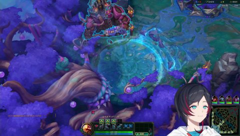 礼節もコーチングするたぬき