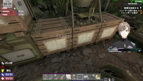 Vを専業でやること