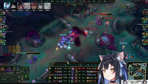 姫を守れなかったでござる🤓