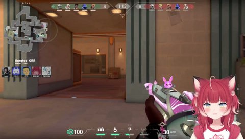 焦りすぎて敵に心配されるかるび