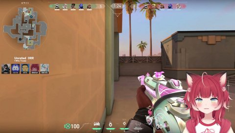 敵に見守られるかるび