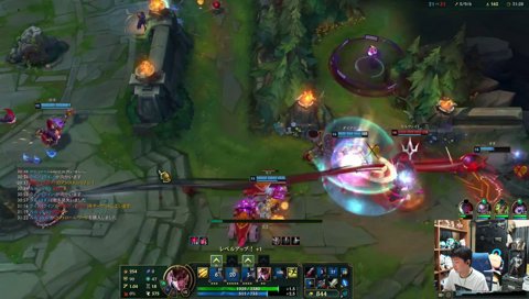 鳥消失マジックに呆然