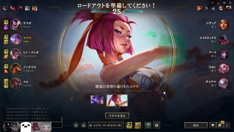 裸を見た白マンタ