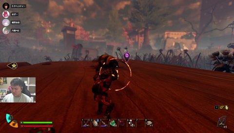 ハチをアサシンでワンパン