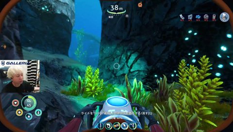 お嬢(のせさん)に勧められサブノーティカを始めたヘンディー