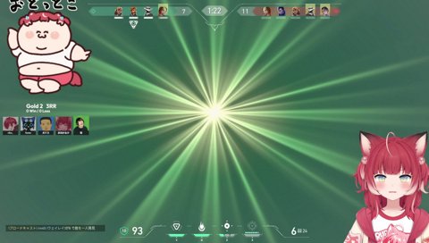 ルンバにびっくりして飛んじゃうびっさん