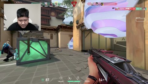 雑魚過ぎ～～～～～