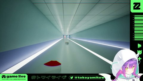 トワ様も分からない謎ゲー