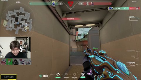 もーむり、味方がよ・・・・