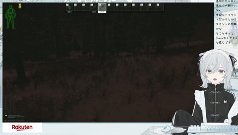 セクシーなSR-25