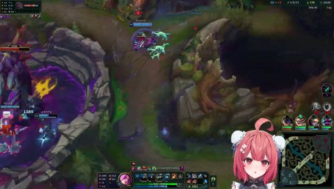 本日のメニュー